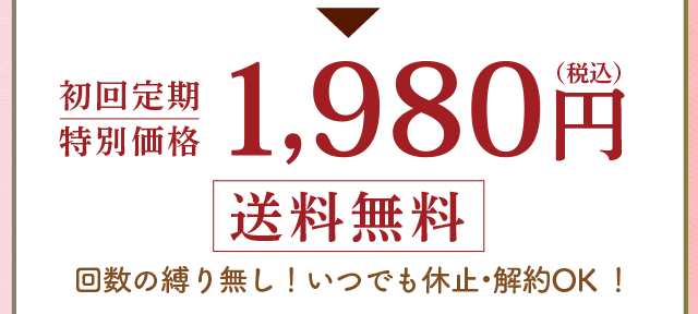 初回限定　特別価格　1,980円（税込）送料無料