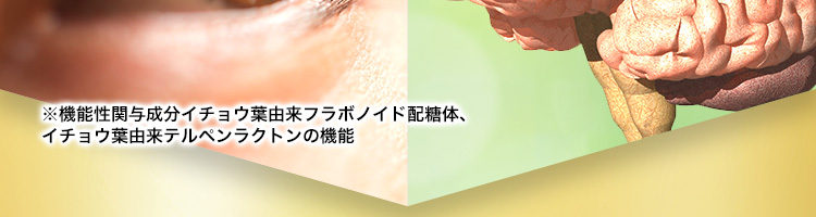 ※機能性関与成分イチョウ葉由来フラボノイド配糖体、イチョウ葉由来テルペンラクトンの機能