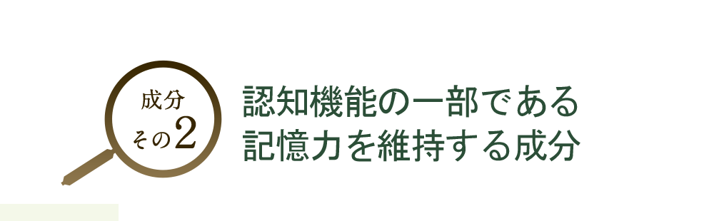 成分２：脳の血流を改善し、記憶力を維持する成分