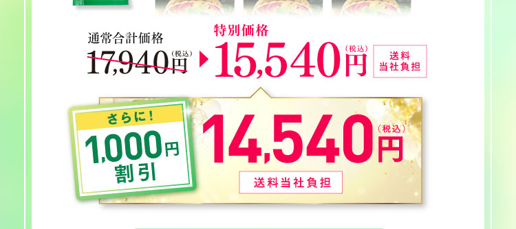 通常合計価格17,940円(税込)から特別価格15,540円(税込)送料当社負担 さらに！1,000円割引 14,540円(税込)送料当社負担