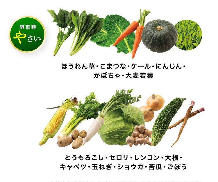 やさい ほうれん草・こまつな・ケール・にんじん・かぼちゃ・大麦若葉 とうもろこし・セロリ・レンコン・大根・キャベツ・玉ねぎ・ショウガ・苦瓜・ごぼう