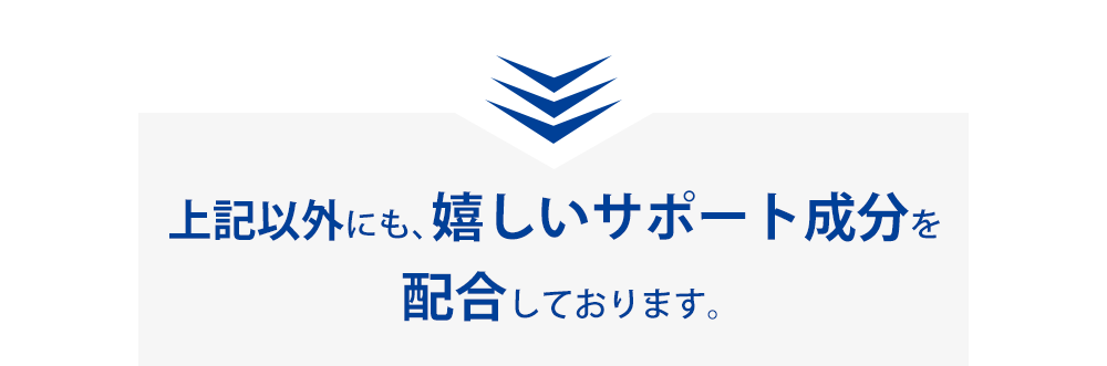 上記以外にも、嬉しいサポート成分を配合しております。