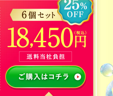 25%OFF6個セット18,450円(税込)送料当社負担 ご購入はコチラ