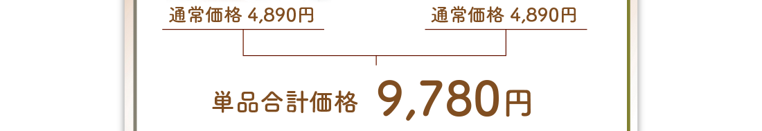 通常価格4,890円×2個　単品合計価格9,780円が