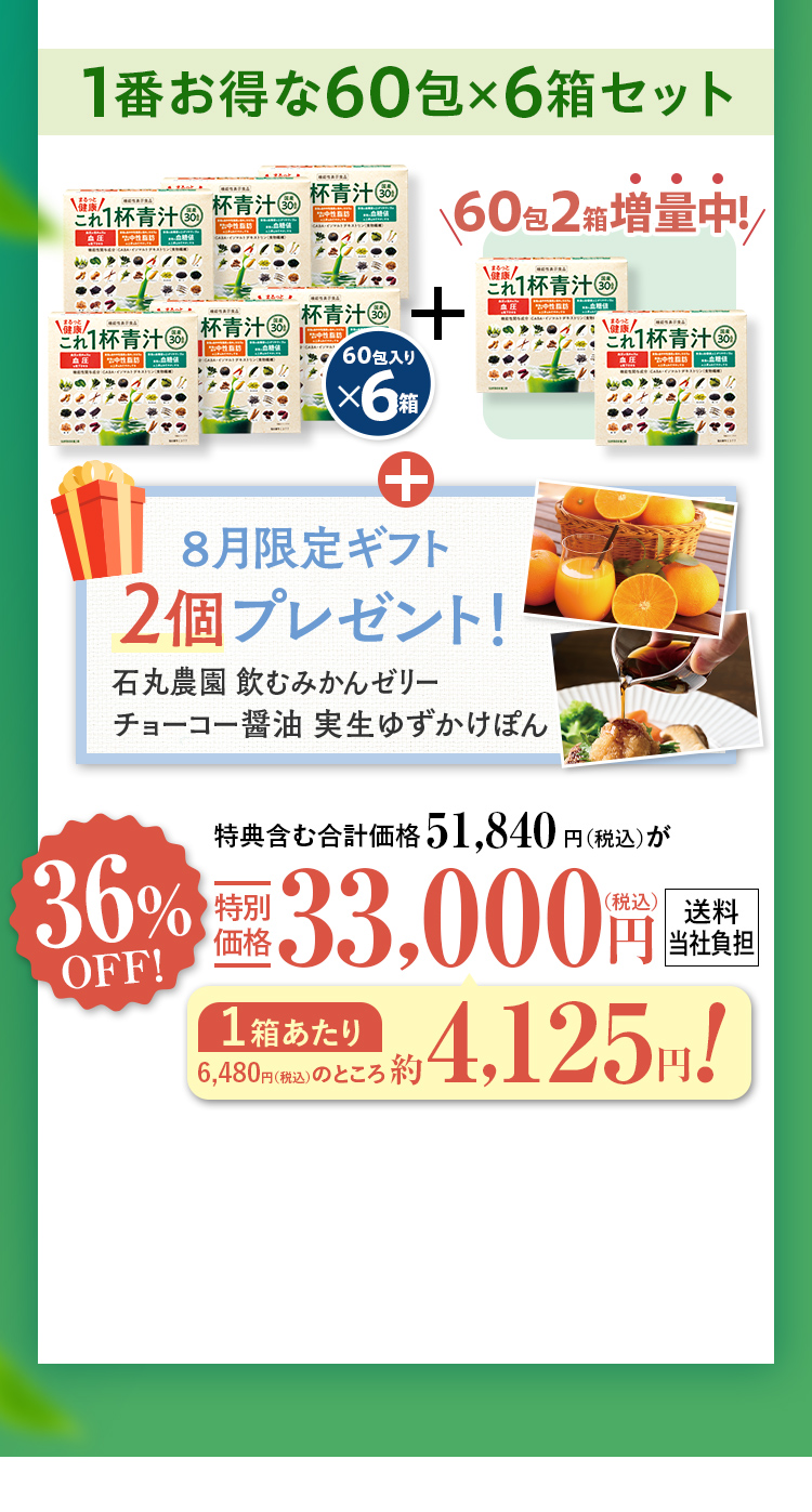 1番お得な60包×6箱セット