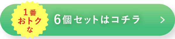 1番おトクな6個セットはコチラ