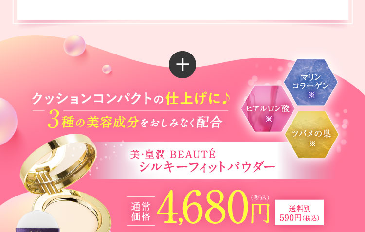 クッションコンパクトの仕上げに!単品 通常価格4,680円（税込）送料別590円（税込）