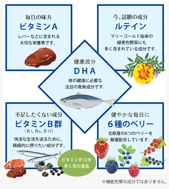 ［鮮やかな毎日の味方：ビタミンA］［今、話題の成分：ルテイン］［サラサラ成分：DHA］［不足したくない成分：ビタミンB群(B1,B6,B12)］［クリアな毎日に：6種のベリー］※機能性関与成分ではありません。