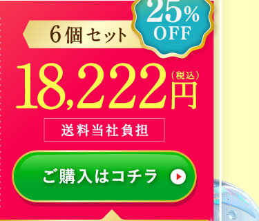 25%OFF6個セット18,222円(税込)送料当社負担 ご購入はコチラ