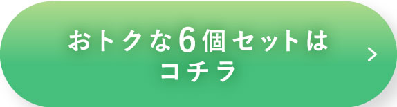 おトクな6個セットはコチラ