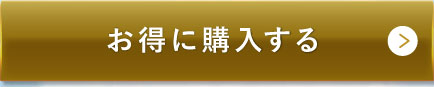お得に購入する