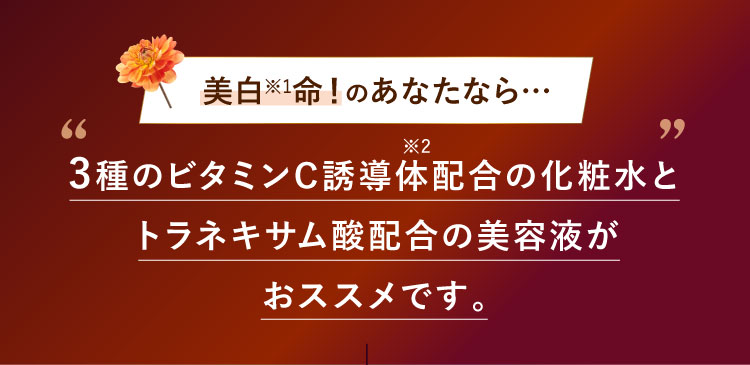 美白命!のあなたなら…3種のビタミンC誘導体配合の化粧水とトラネキサム酸配合の美容液がaおススメです。