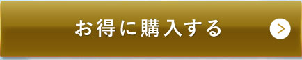お得に購入する