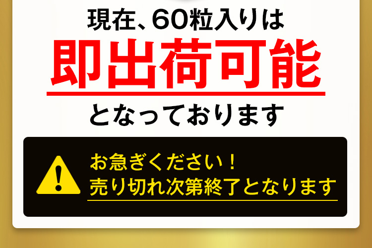 現在、60粒入りは即出荷可能となっております お急ぎください！売り切れ次第終了となります