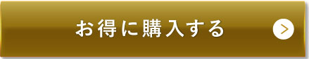 お得に購入する