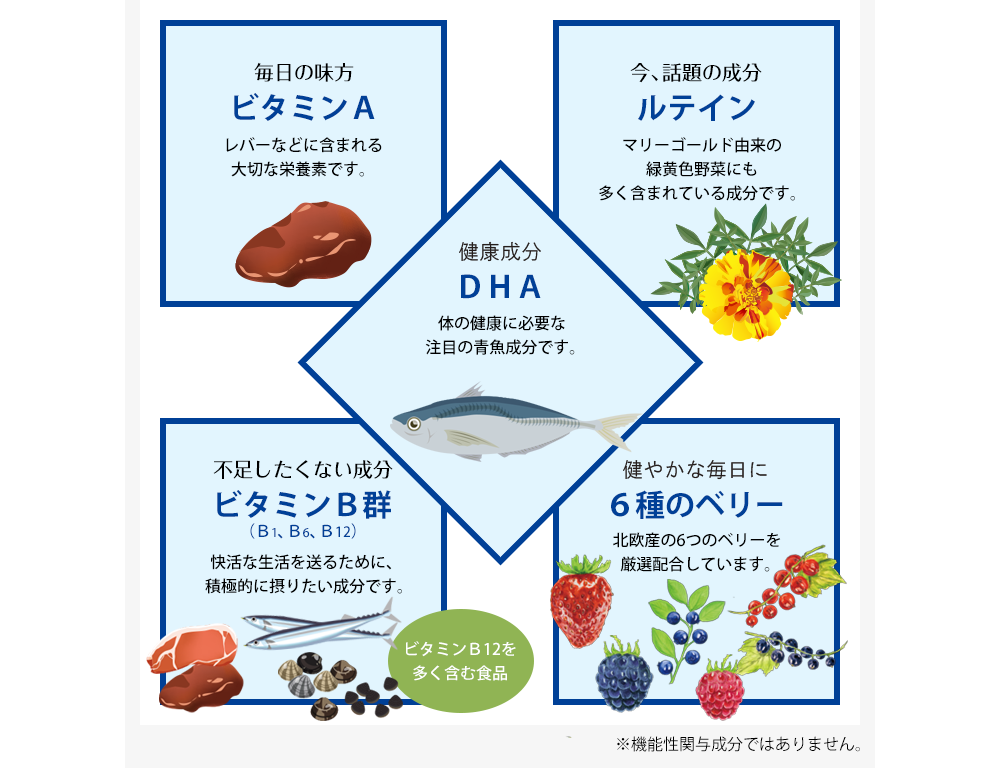 ［鮮やかな毎日の味方：ビタミンA］［今、話題の成分：ルテイン］［サラサラ成分：DHA］［不足したくない成分：ビタミンB群(B1,B6,B12)］［クリアな毎日に：6種のベリー］※機能性関与成分ではありません。