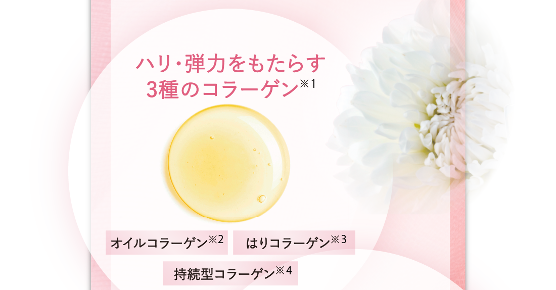 ハリ、弾力をもたらす3種のコラーゲン※1　オイルコラーゲン※2　はりコラーゲン※3　持続型コラーゲン※4