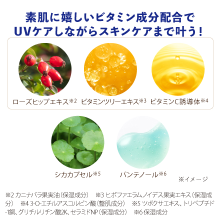 【25％割引】ビューティーサンキッド&times;6個 image number 3