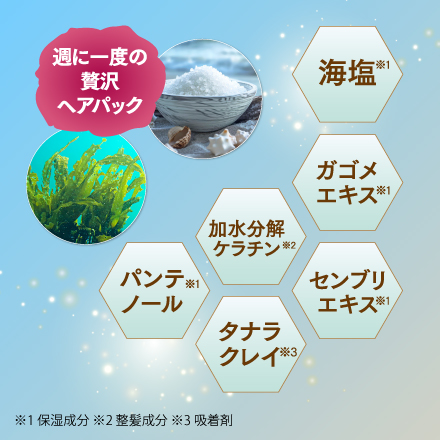 【ヘアパック付】メッシュドボーテクッションコンパクト ナチュラルオークル×レフィル6個 9/30まで！ image number 2