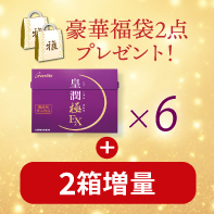 【豪華福袋付き】皇潤極EX&times;6箱　1/29まで!