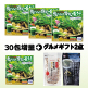 【30包増量＆ギフトも増量！】飲みごたえ野菜青汁60包×3箱　6/30まで！ image number 0