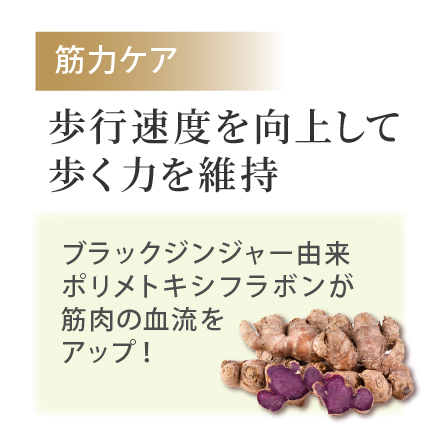 【2箱増量】皇潤W&times;6箱 image number 5