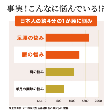 【2箱増量】皇潤極EX&times;6箱　1/6まで! image number 4