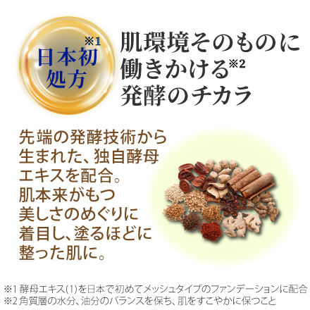 【25％割引!】メッシュドW薬用CC&times;レフィル6個 image number 2