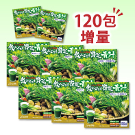 【120包増量】飲みごたえ野菜青汁&times;6