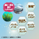 【ヘアパック付】メッシュドボーテクッションコンパクト ナチュラルオークル×レフィル6個 9/30まで！ image number 2