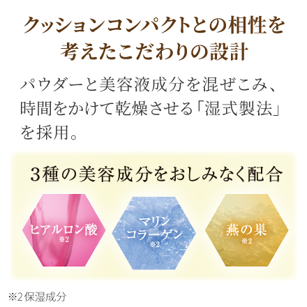 【セミマット仕上げ】シルキーフィットパウダー　1/29まで! image number 2