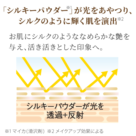 【セミマット仕上げ】シルキーフィットパウダー　1/29まで! image number 1