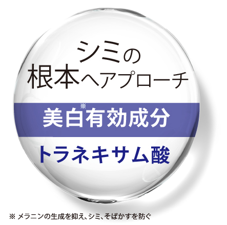メッシュドボーテクッションコンパクト ナチュラルオークル×レフィル3個 6/2まで！ image number 2