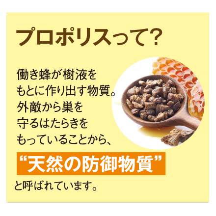 【1箱増量】生ローヤルゼリー&times;3箱　1/6まで! image number 2