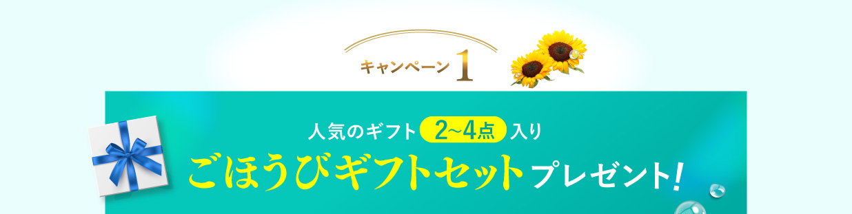 【キャンペーン1】人気のギフト2~4点入り ごほうびギフトセットプレゼント!