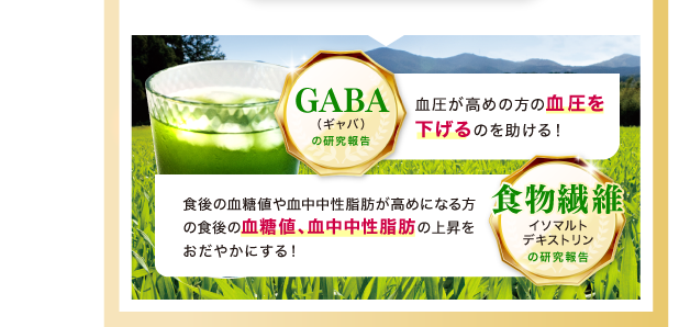 GABAの研究報告 食物繊維の研究報告