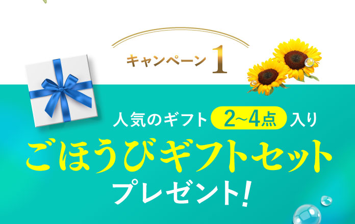 【キャンペーン1】人気のギフト2~4点入り ごほうびギフトセットプレゼント!