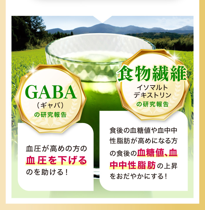 GABAの研究報告 食物繊維の研究報告