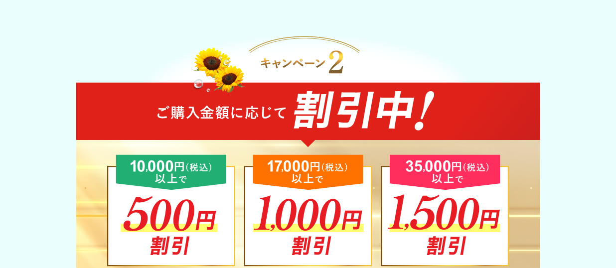 【キャンペーン2】ご購入金額に応じて割引中!「10,000円(税込)以上で500円割引」「17,000円(税込)以上で1,000円割引」「35,000円(税込)以上で1,500円割引」