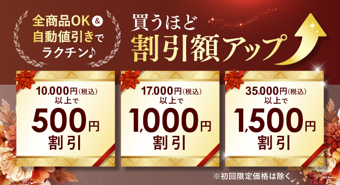 11月の新商品が特別価格で登場!